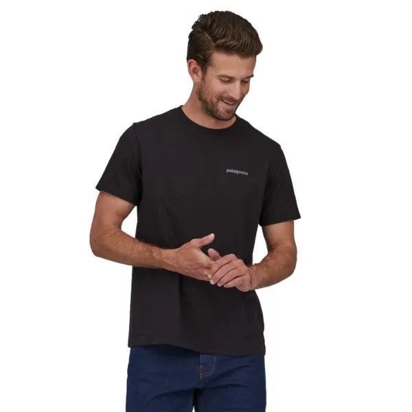 Mens Patagonia Fitz Roy Icon Responsibili-Tee