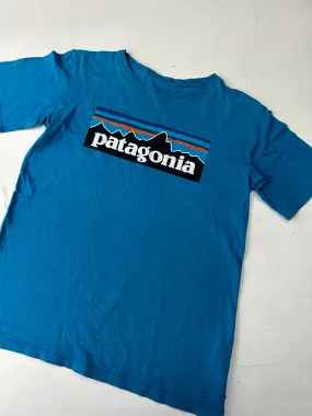 Patagonia y2k 90s y2k vintage logo tee (S/M)