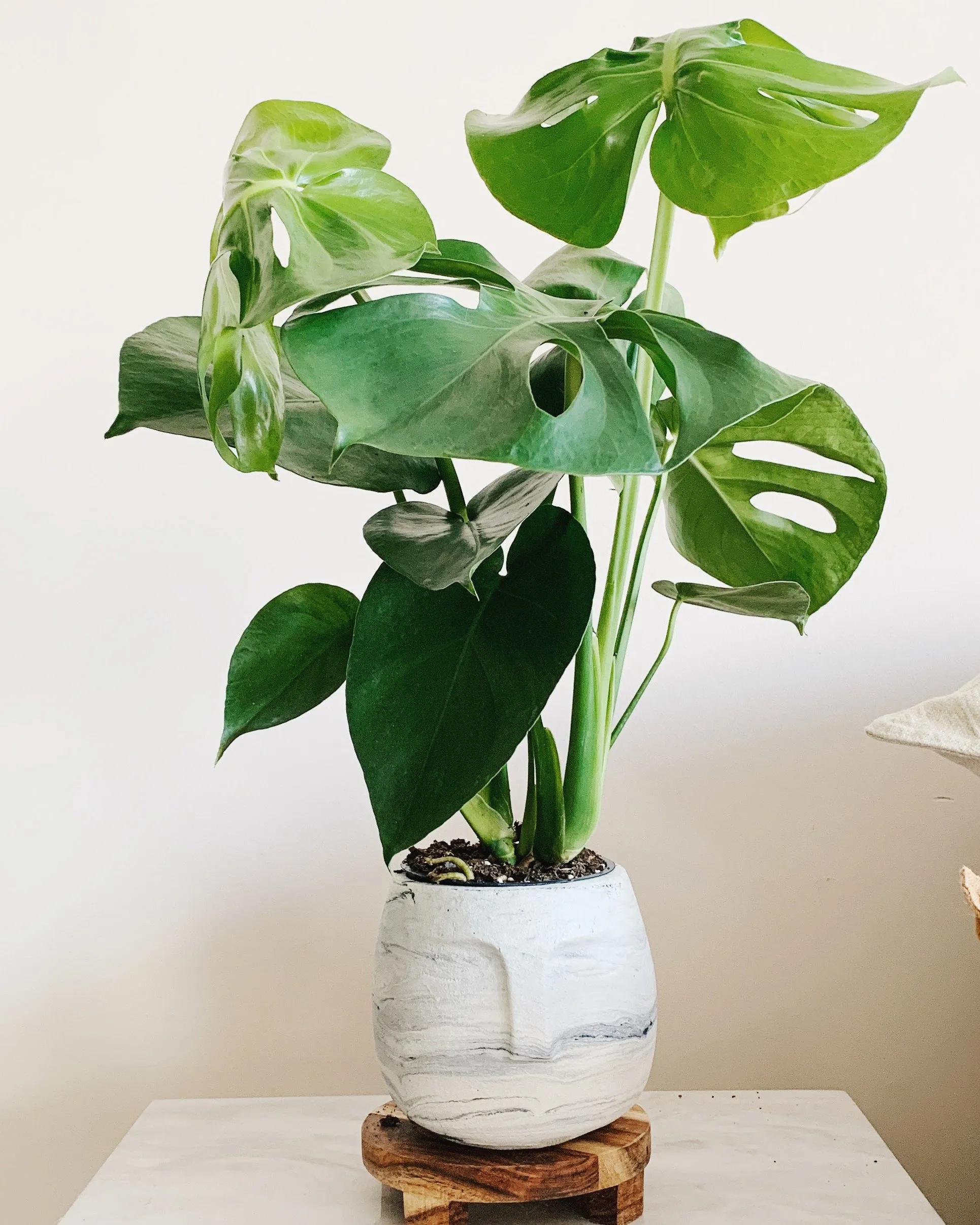 White Marble Face Planter